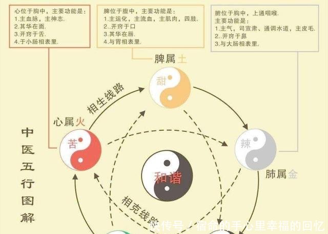 黄大仙精选三肖三码资料五生肖五行属性心软是病,警惕虚假宣传落实,专家解答解释落实