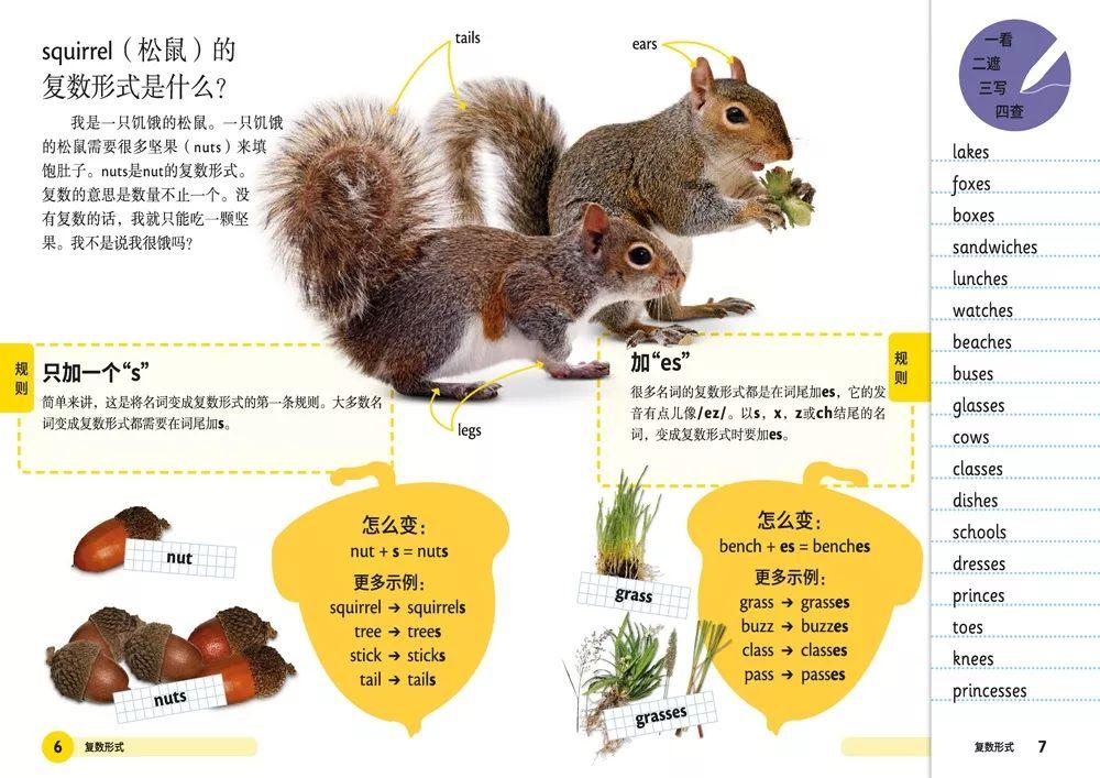 最准一肖一码100%精准的评论的警惕虚假宣传-全面释义、解释与落实、构建解答解释落实