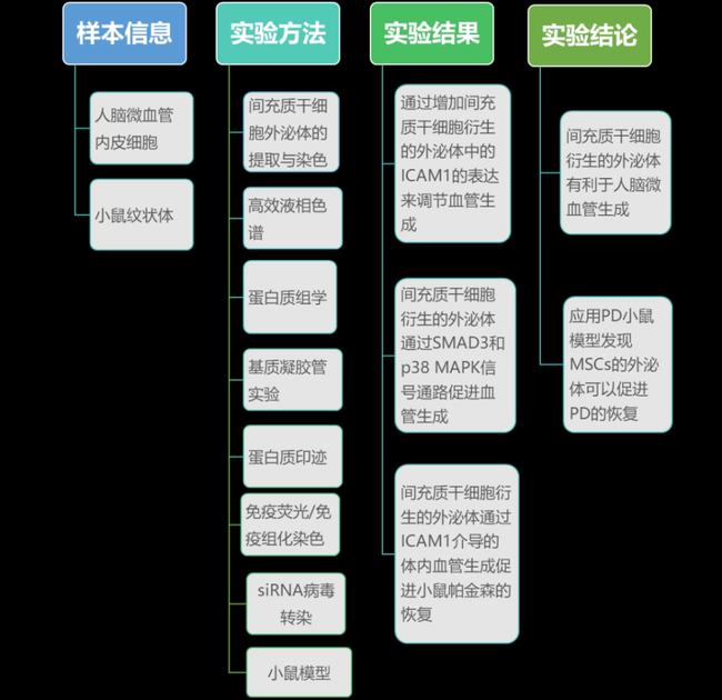 新澳门王中王期期中详细解答、定量解答解释落实