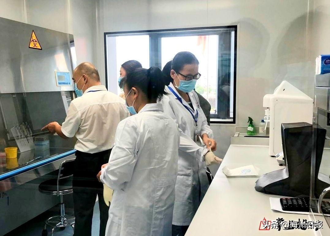 今晚澳门正版资料大全请全面2释义、解释与落实、定量解答解释落实