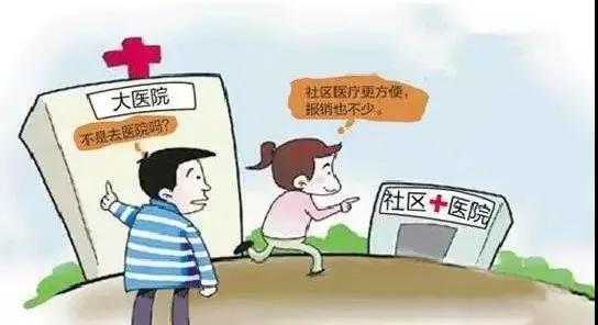 香港一肖一码100%仔细释义、解释与落实、构建解答解释落实