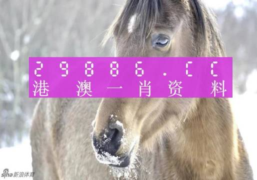 澳门一肖一码100%期期精准/98期精选解析、解释与落实、构建解答解释落实